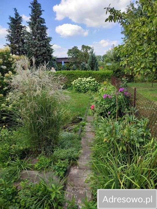 Działka rekreacyjna Pabianice, ul. Szpitalna