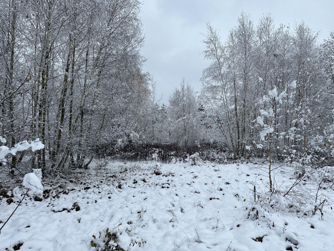 Działka rolna Gadka, ul. Mały Gościniec. Zdjęcie 5
