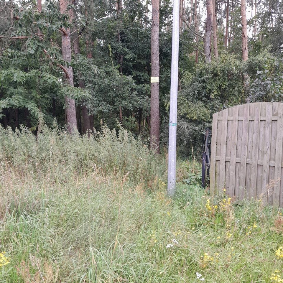 Działka leśna Sępólno Krajeńskie, ul. Niechorska. Zdjęcie 3