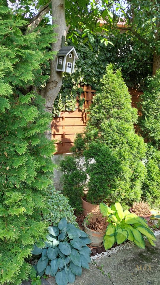 dom wolnostojący, 7 pokoi Warszawa Wesoła. Zdjęcie 22