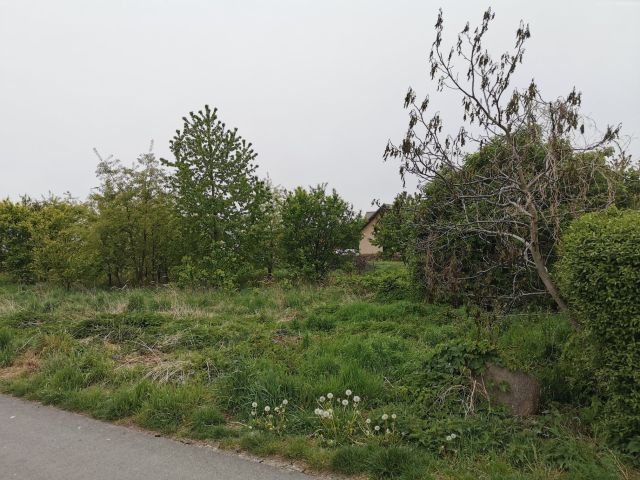 Działka budowlana Wróblowice, ul. Sosnowa. Zdjęcie 1