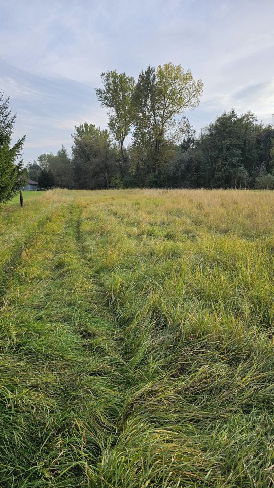Działka inwestycyjna Palikówka. Zdjęcie 10