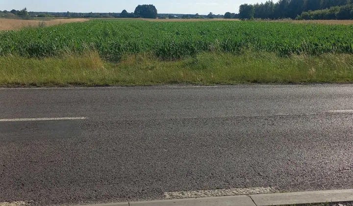 Działka rolno-budowlana Parczew, ul. Kościelna