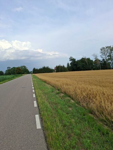 Działka rolno-budowlana Wola Osowińska. Zdjęcie 1