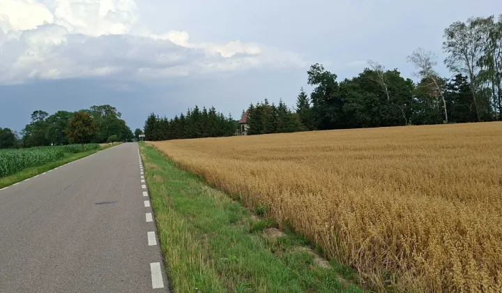 Działka rolno-budowlana Wola Osowińska