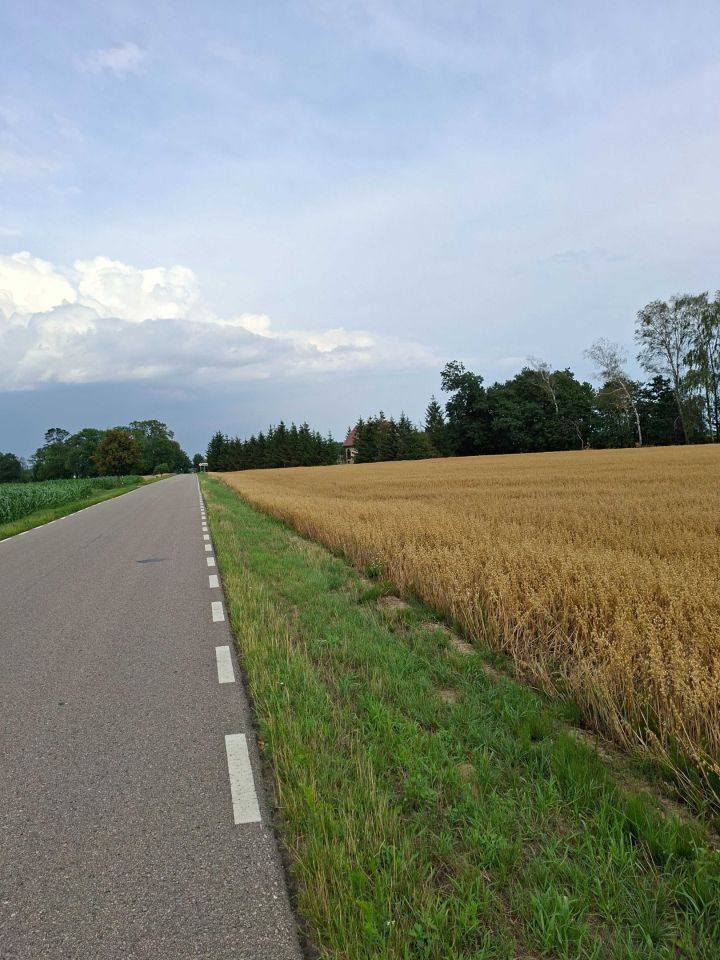 Działka rolno-budowlana Wola Osowińska. Zdjęcie 1
