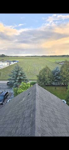 Działka rolno-budowlana Nowe Kęszyce. Zdjęcie 1