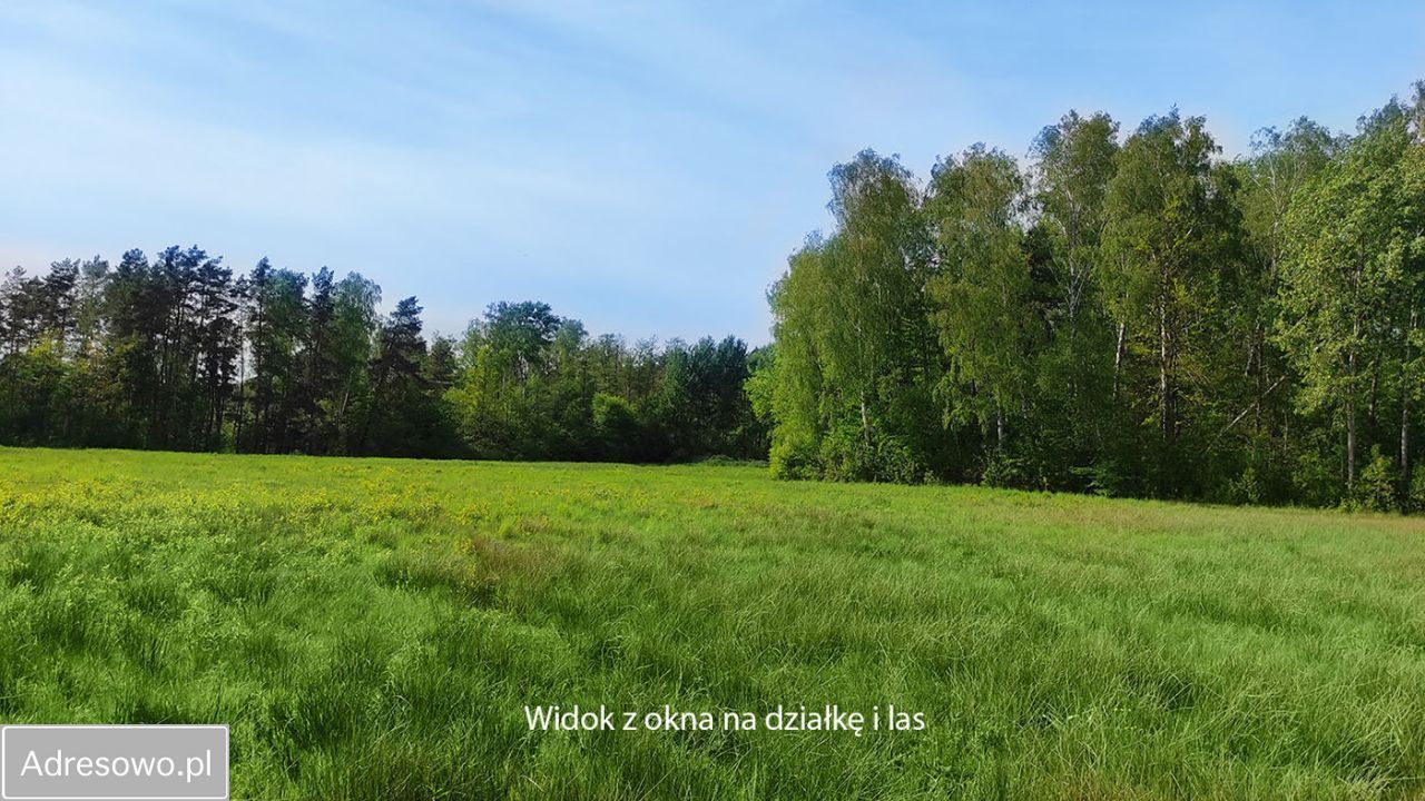 dom wolnostojący, 9 pokoi Stara Wieś. Zdjęcie 6