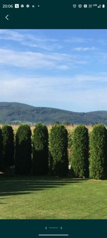 Działka budowlana Kamienica. Zdjęcie 1