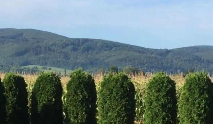 Działka budowlana Kamienica