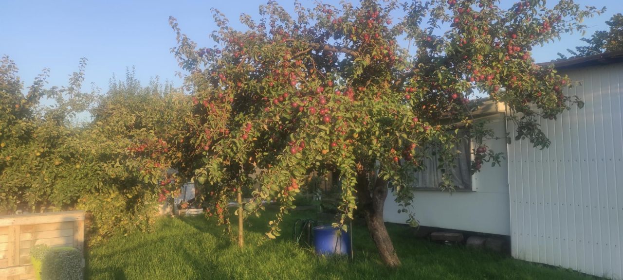 Działka rod Koszalin Jamno, ul. Aleja Europejska. Zdjęcie 6