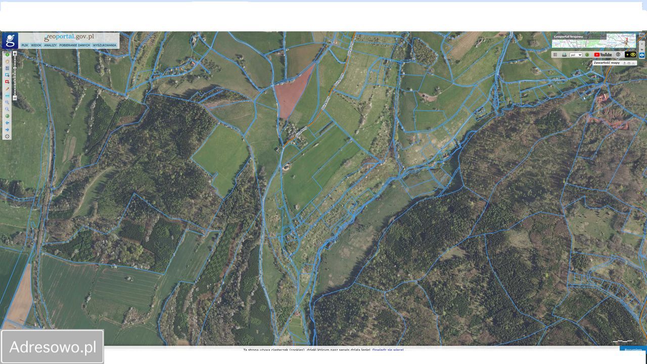 Działka rolna Bieganów. Zdjęcie 4