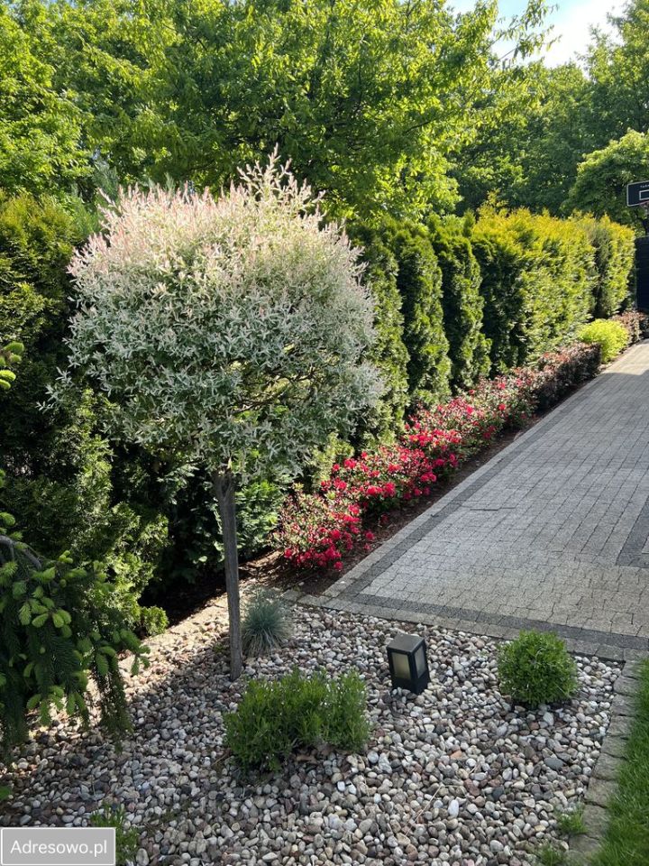 bliźniak, 4 pokoje Milanówek. Zdjęcie 9