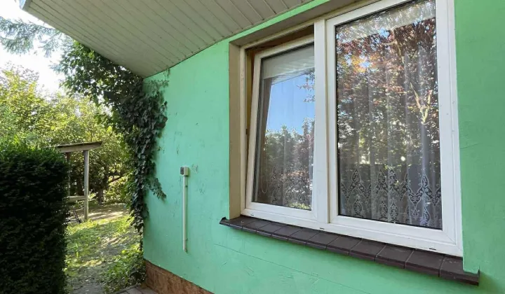 Działka rod Niekanin, ul. Działkowa