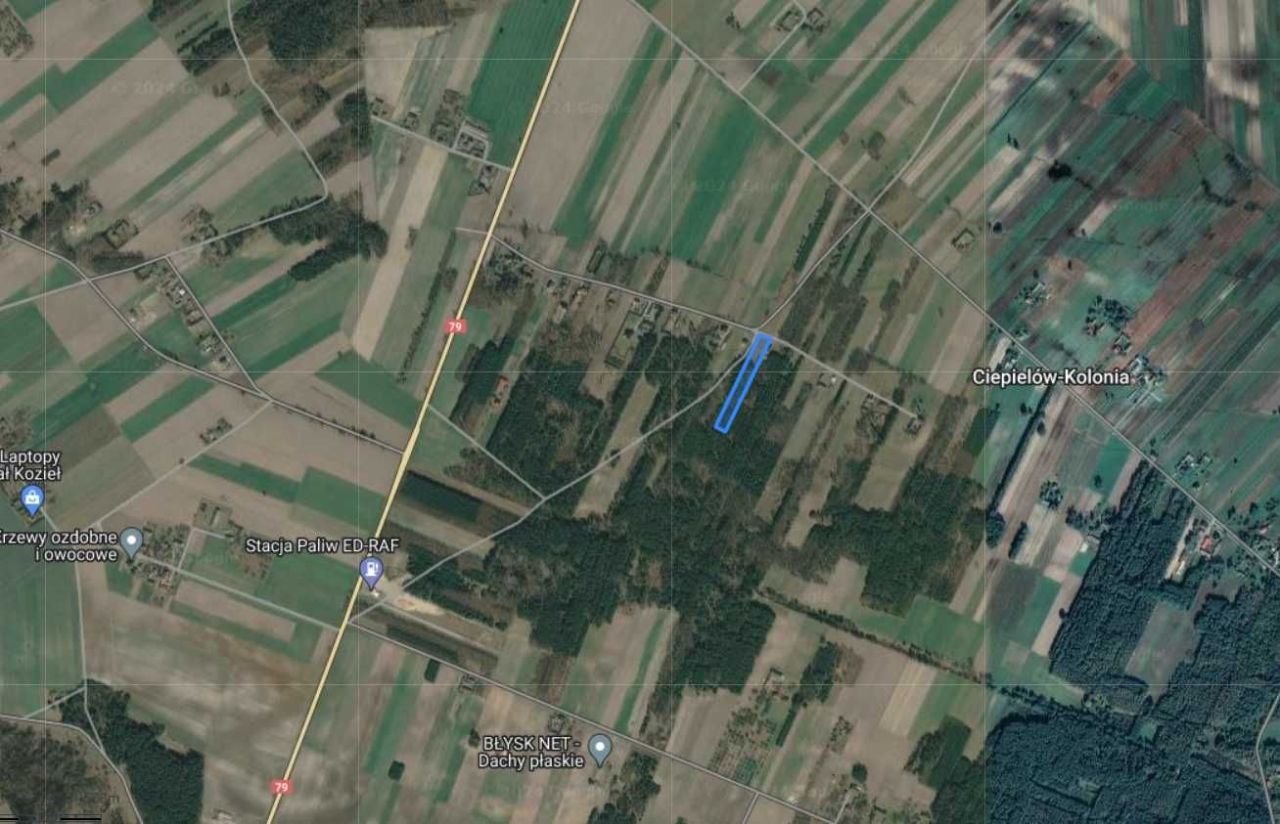 Działka rolno-budowlana Ciepielów-Kolonia. Zdjęcie 2