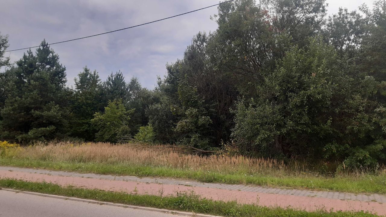 Działka inwestycyjna Szydłowiec. Zdjęcie 2