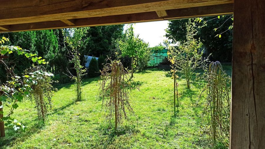 Działka rod Straszyn, ul. inż. A. Hoffmanna. Zdjęcie 16