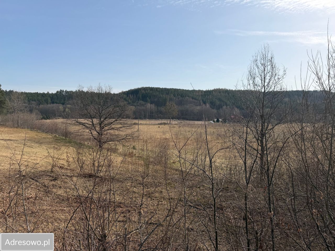 Działka inwestycyjna Lębork. Zdjęcie 3
