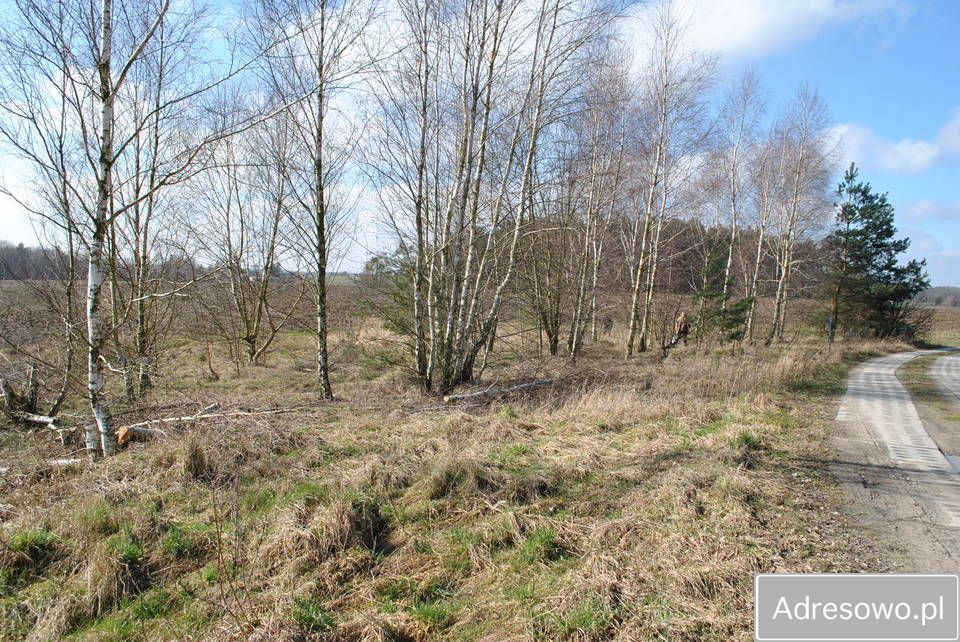 Działka rolno-budowlana Bietowo. Zdjęcie 5