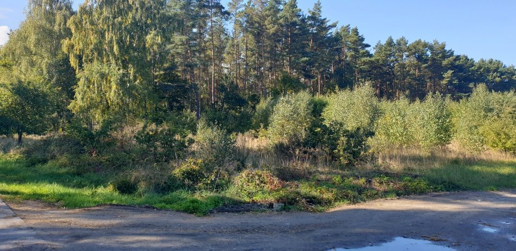 Działka budowlana Obroty. Zdjęcie 2