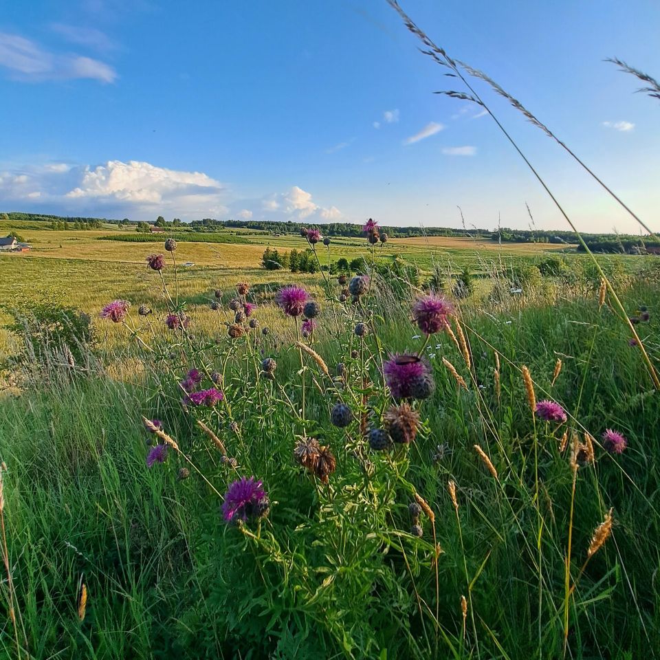 Działka rolno-budowlana Studzianka