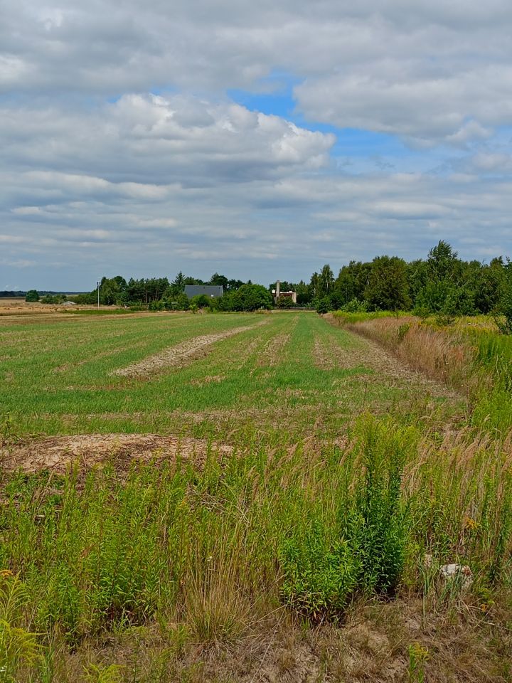 Działka rolno-budowlana Lubojna. Zdjęcie 2