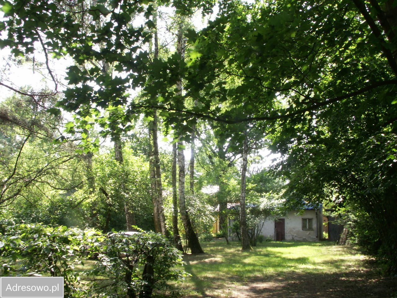 Działka budowlana Piaseczno Zalesie Dolne, ul. Graniczna