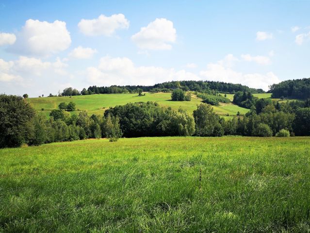 Działka rolna Szymbark. Zdjęcie 1