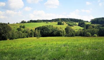 Działka rolna Szymbark