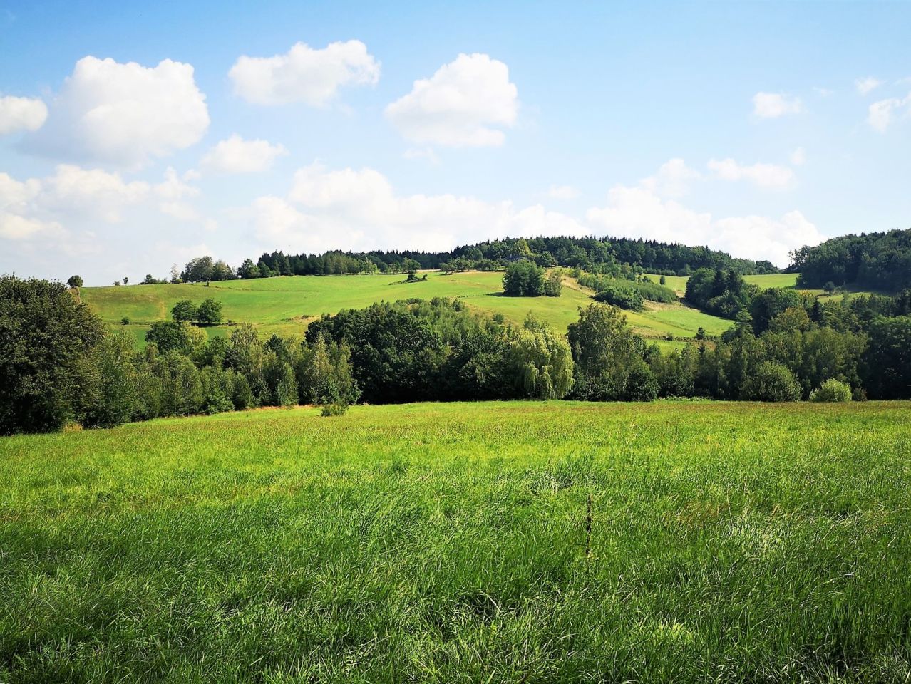 Działka rolna Szymbark