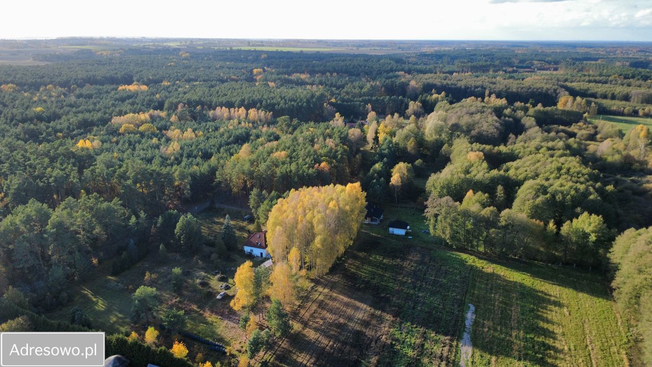 Działka budowlana Chwalęcice, ul. Bażantowa. Zdjęcie 2