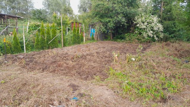 Działka rod Gdańsk Olszynka, ul. Stanisława Wyspiańskiego. Zdjęcie 1