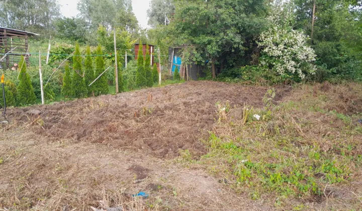 Działka rod Gdańsk Olszynka, ul. Stanisława Wyspiańskiego