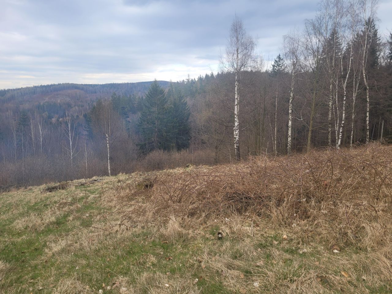 Działka budowlana Przesieka, ul. Kręta. Zdjęcie 4