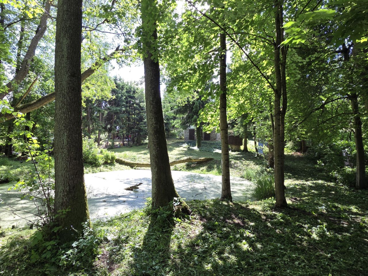 dom wolnostojący, 5 pokoi Borowe. Zdjęcie 19