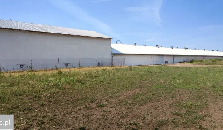 Hala/magazyn Strzelce