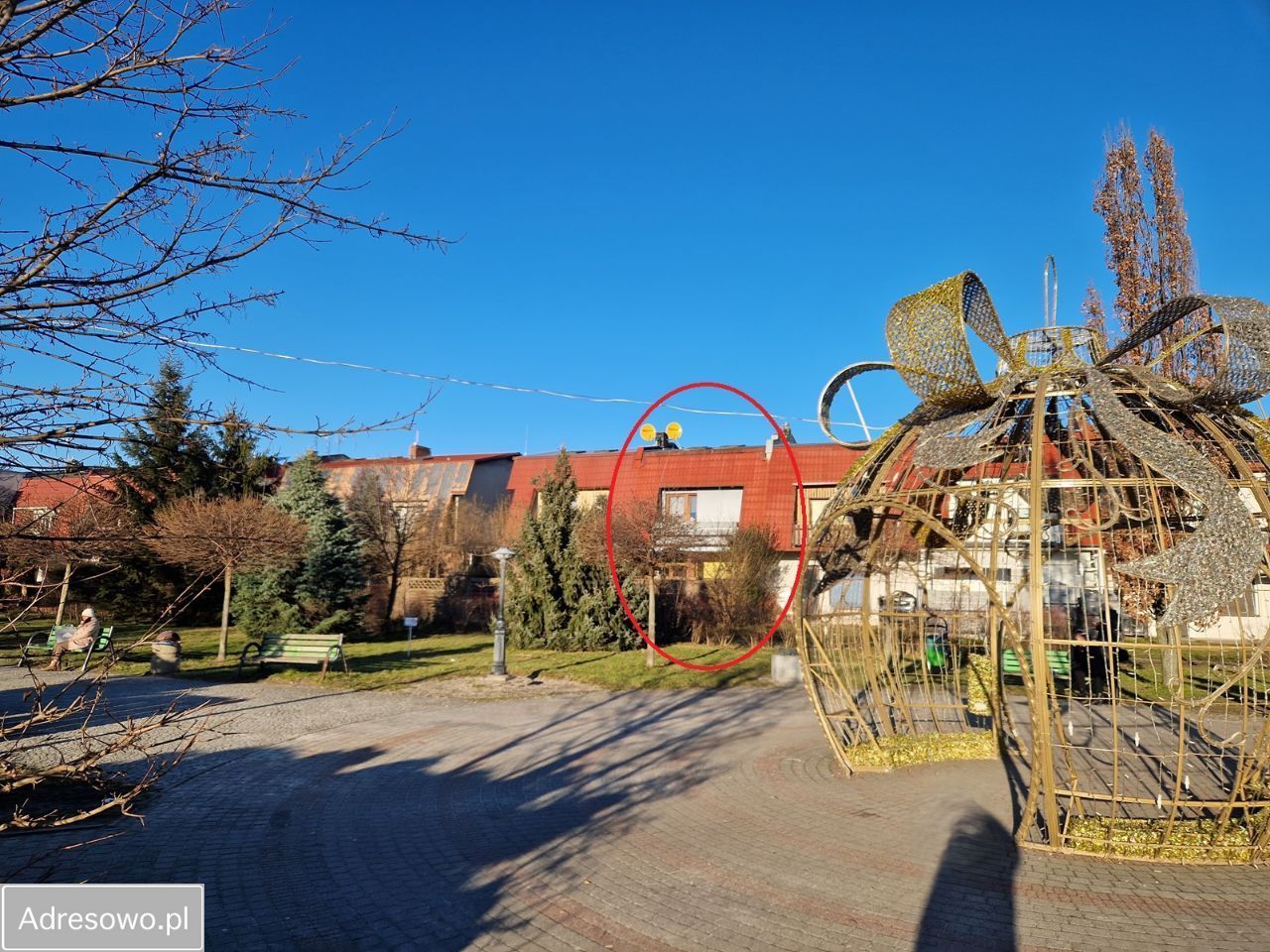 Lokal Jelcz-Laskowice Centrum, ul. Franciszka Żwirki. Zdjęcie 9