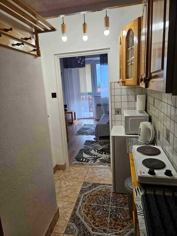 Mieszkanie 1-pokojowe Kościelisko, ul. Nędzy Kubińca. Zdjęcie 3