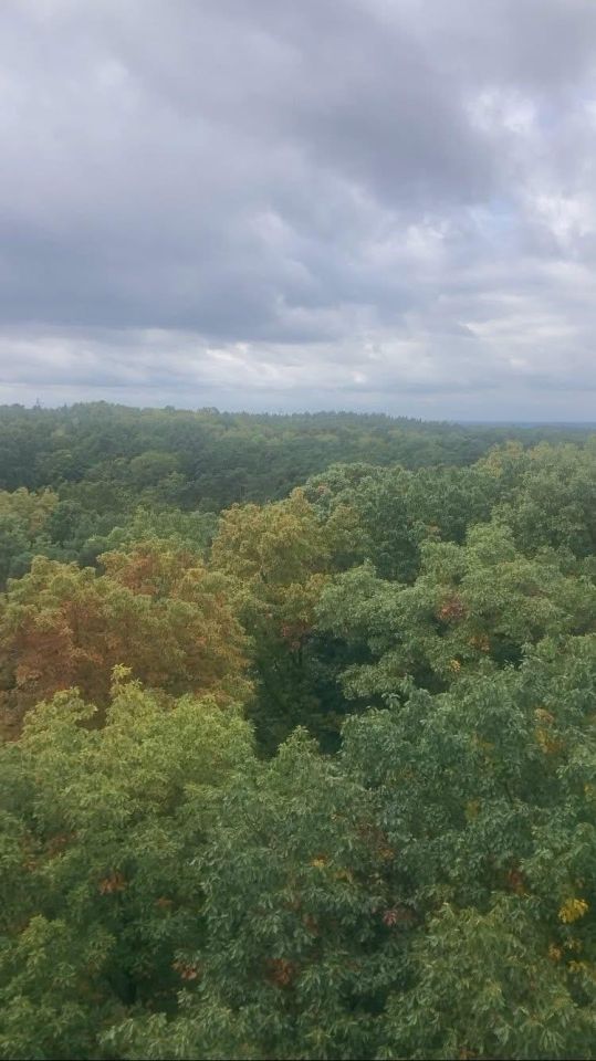 Mieszkanie 2-pokojowe Zielona Góra Przyjaźń, ul. Francuska. Zdjęcie 19