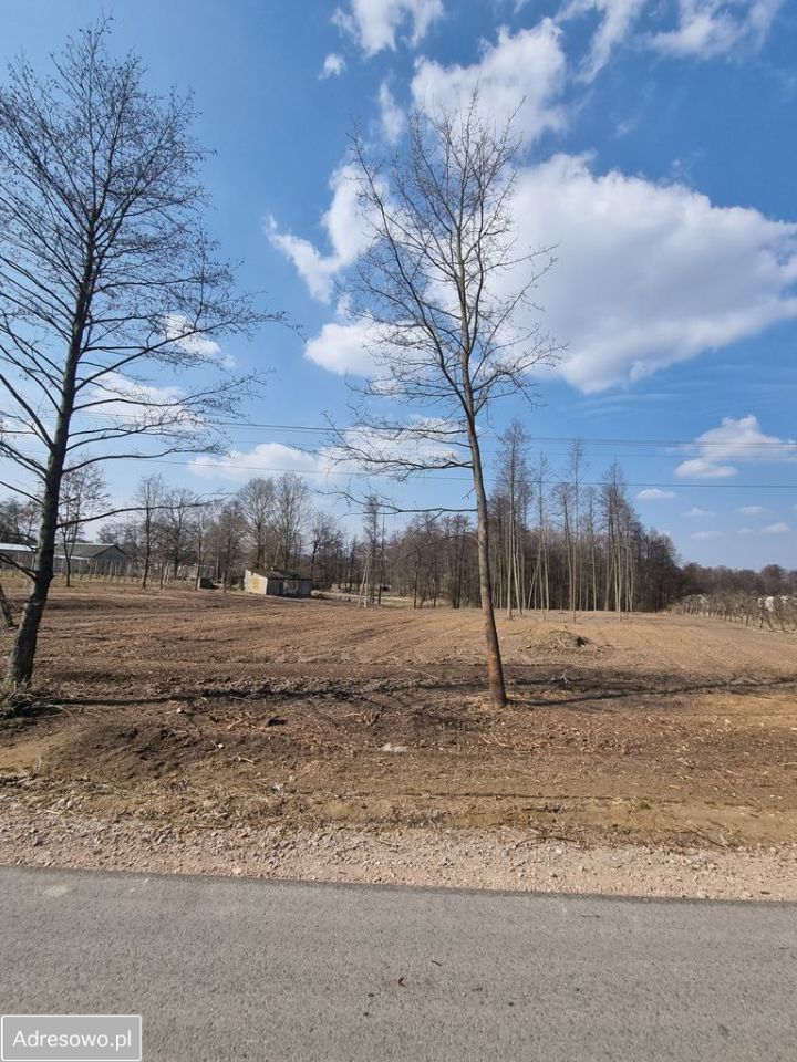 Działka Tomaszówka. Zdjęcie 7