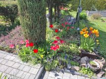 Działka rekreacyjna Bielsko-Biała Kamienica, ul. Skarpowa. Zdjęcie 2