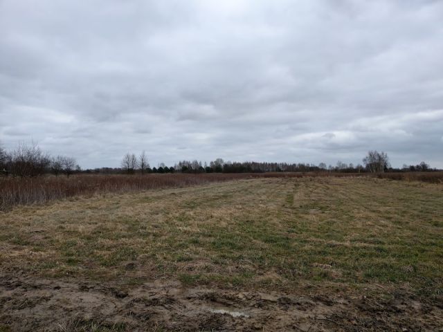 Działka siedliskowa Koryta. Zdjęcie 1