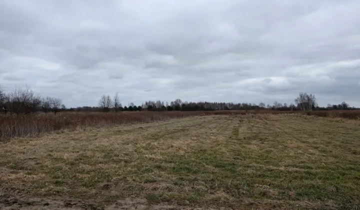 Działka siedliskowa Koryta