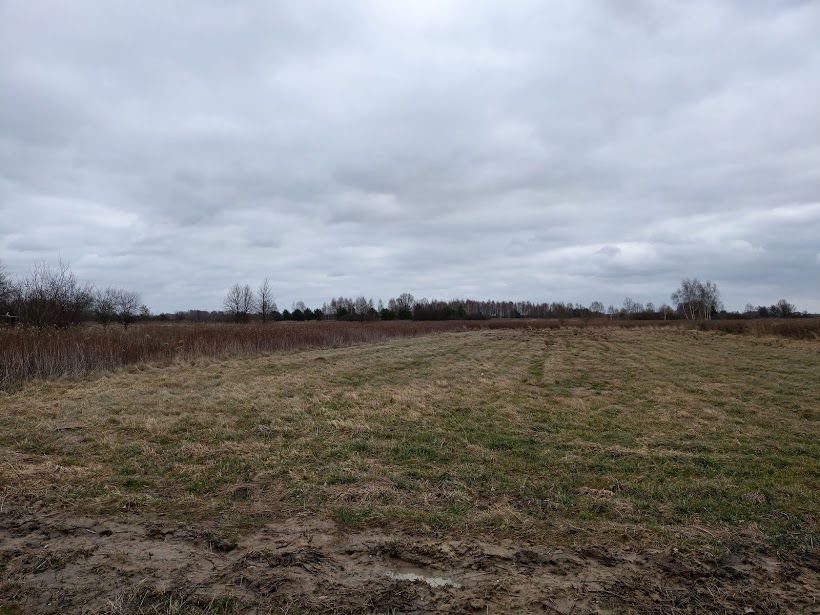 Działka siedliskowa Koryta. Zdjęcie 1