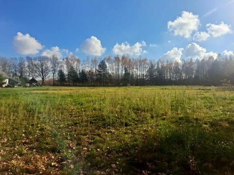 Działka rolno-budowlana Cmolas Dąbrówka. Zdjęcie 5