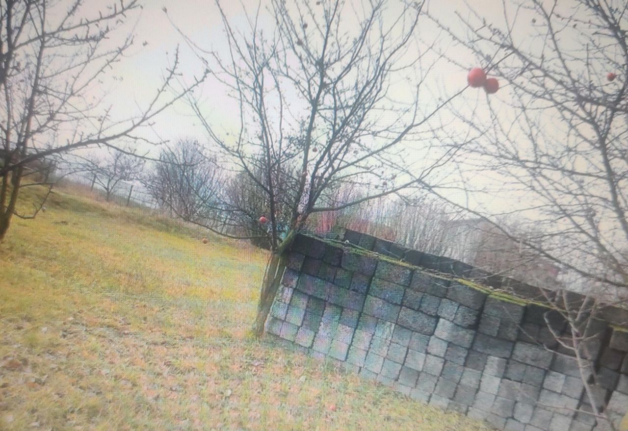 Działka rolno-budowlana Damiany. Zdjęcie 5