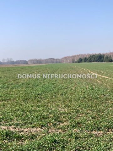 Działka budowlana Złotniki. Zdjęcie 5