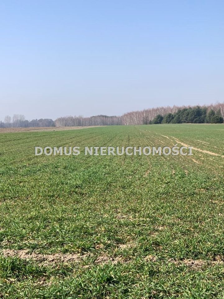 Działka budowlana Złotniki. Zdjęcie 5