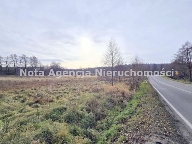 Działka inwestycyjna Jabłów. Zdjęcie 7