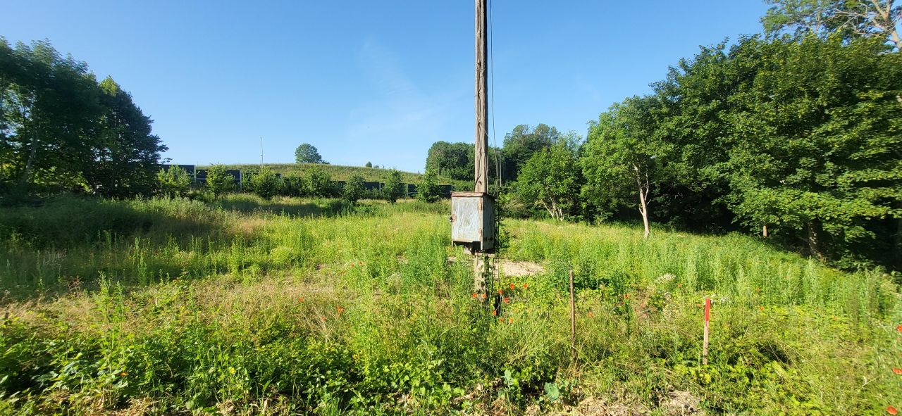 Działka siedliskowa Borkowice. Zdjęcie 20